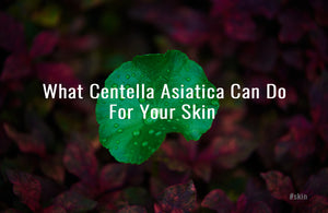 What Centella Asiatica Can Do For Your Skin