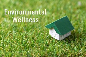 #2. Environmental Wellness: Living in harmony with the environment
